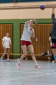 Bild 120 - Damen HSG Kremperheide/M�nsterdorf - Suchsdorfer SV : Ergebnis: 39:22